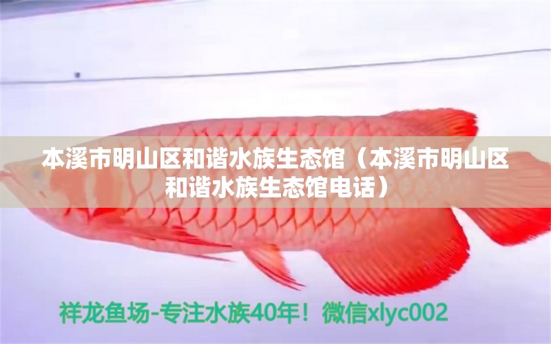 本溪市明山区和谐水族生态馆（本溪市明山区和谐水族生态馆电话） 全国水族馆企业名录