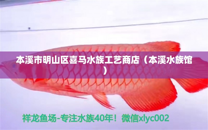 本溪市明山区喜马水族工艺商店（本溪水族馆）