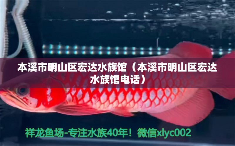 本溪市明山区宏达水族馆（本溪市明山区宏达水族馆电话）