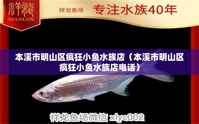 本溪市明山区疯狂小鱼水族店（本溪市明山区疯狂小鱼水族店电话） 全国水族馆企业名录