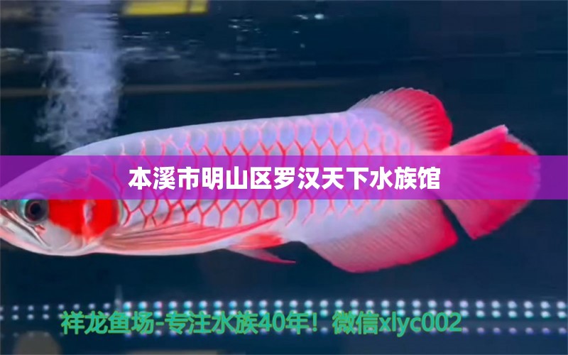 本溪市明山区罗汉天下水族馆