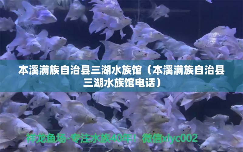 本溪满族自治县三湖水族馆（本溪满族自治县三湖水族馆电话）