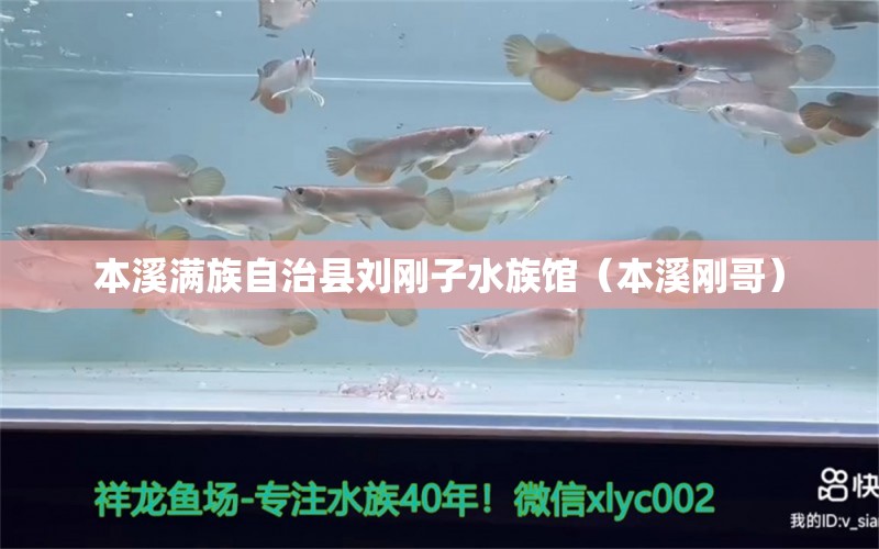 本溪满族自治县刘刚子水族馆（本溪刚哥） 全国水族馆企业名录