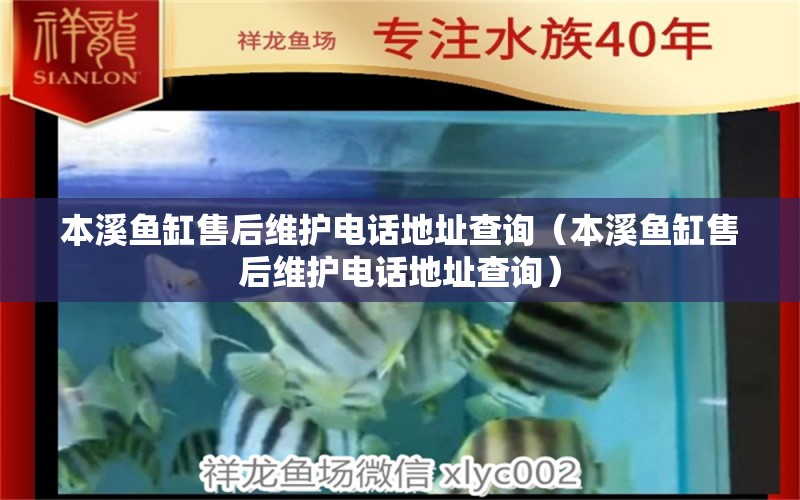 本溪鱼缸售后维护电话地址查询（本溪鱼缸售后维护电话地址查询）