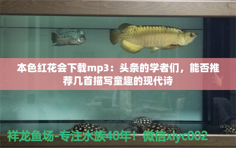 本色红花会下载mp3：头条的学者们，能否推荐几首描写童趣的现代诗 观赏鱼