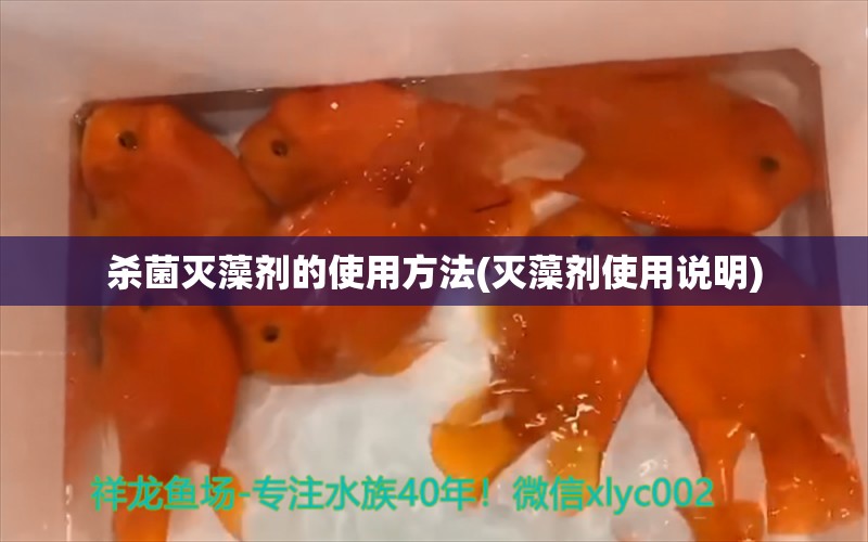 杀菌灭藻剂的使用方法(灭藻剂使用说明) 金龙福龙鱼 第1张