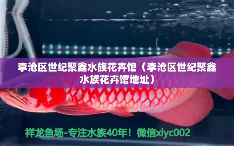 李沧区世纪聚鑫水族花卉馆（李沧区世纪聚鑫水族花卉馆地址）