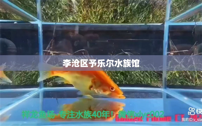 李沧区予乐尔水族馆