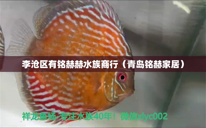 李沧区有铭赫赫水族商行（青岛铭赫家居） 全国水族馆企业名录