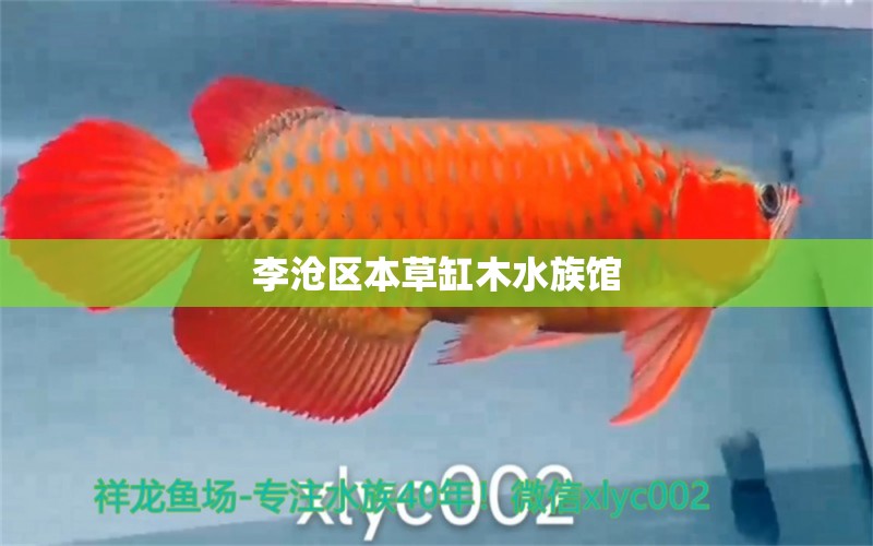 李沧区本草缸木水族馆