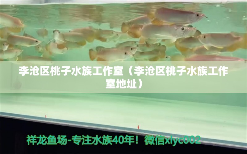 李沧区桃子水族工作室（李沧区桃子水族工作室地址）