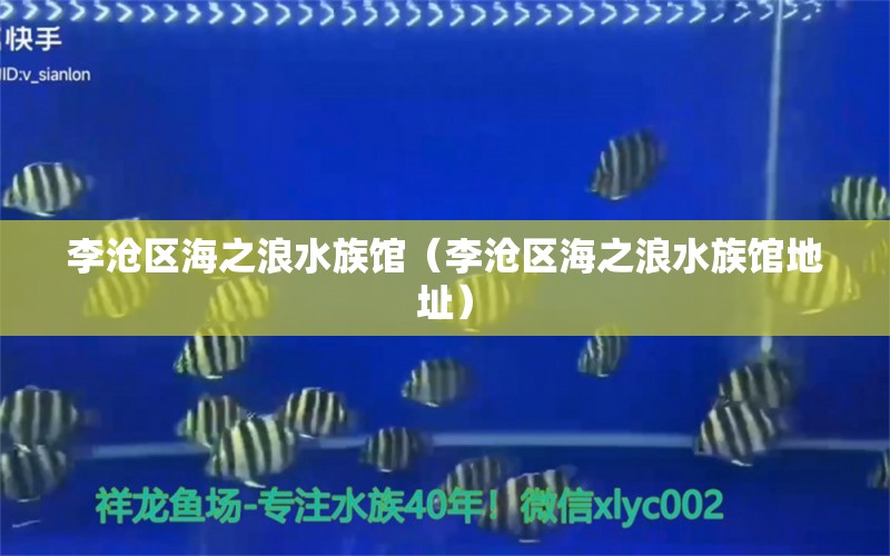 李沧区海之浪水族馆（李沧区海之浪水族馆地址）