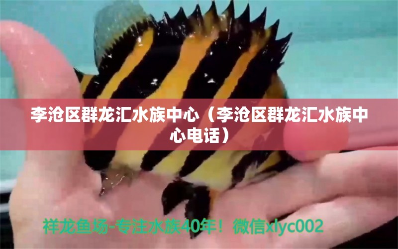 李沧区群龙汇水族中心（李沧区群龙汇水族中心电话）