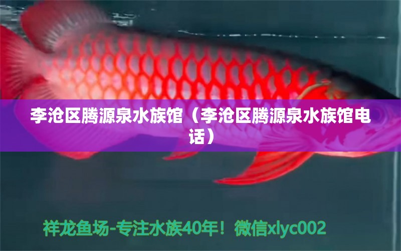 李沧区腾源泉水族馆（李沧区腾源泉水族馆电话）