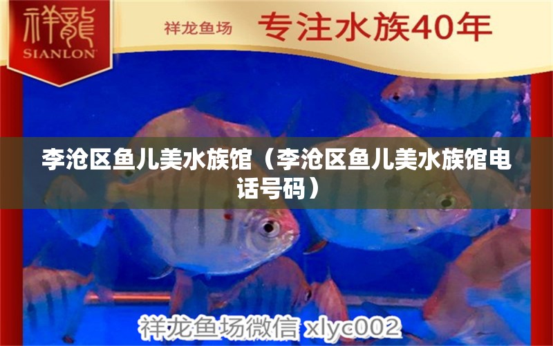 李沧区鱼儿美水族馆（李沧区鱼儿美水族馆电话号码） 全国水族馆企业名录