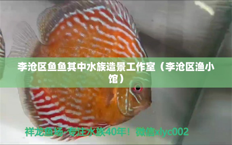 李沧区鱼鱼其中水族造景工作室（李沧区渔小馆）