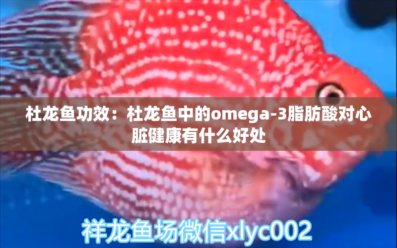 杜龙鱼功效：杜龙鱼中的omega-3脂肪酸对心脏健康有什么好处 水族问答 第1张