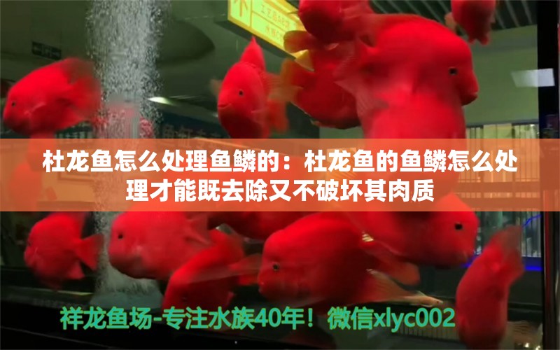 杜龙鱼怎么处理鱼鳞的：杜龙鱼的鱼鳞怎么处理才能既去除又不破坏其肉质 水族问答 第2张