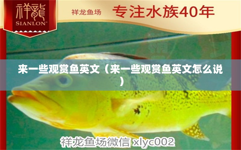 来一些观赏鱼英文（来一些观赏鱼英文怎么说） 祥龙水族医院