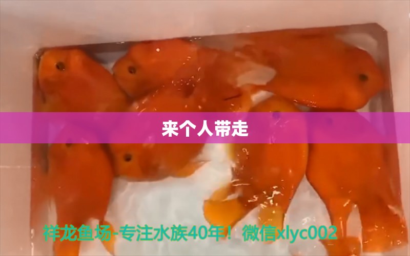 来个人带走