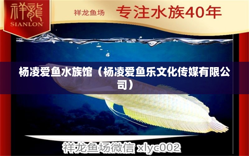 杨凌爱鱼水族馆（杨凌爱鱼乐文化传媒有限公司）