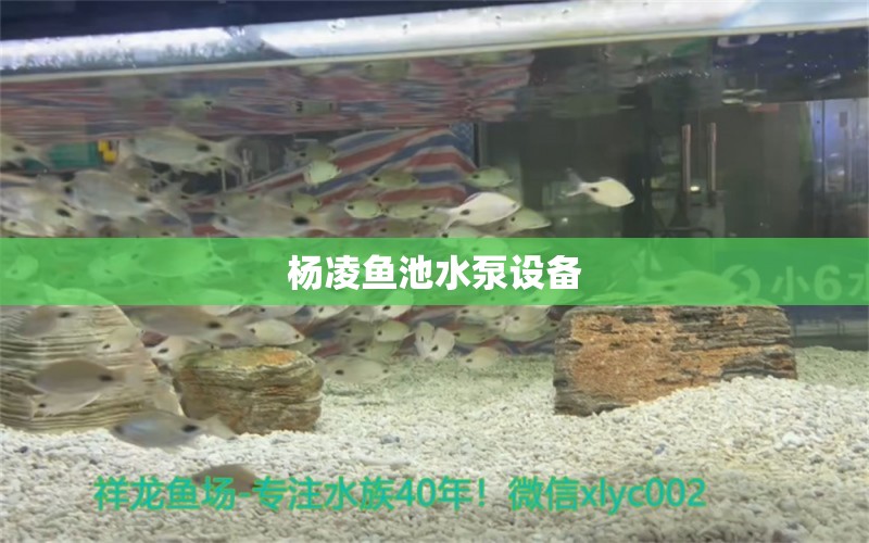 杨凌鱼池水泵设备 广州水族器材滤材批发市场