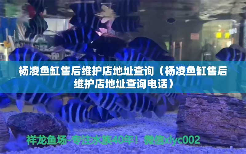 杨凌鱼缸售后维护店地址查询（杨凌鱼缸售后维护店地址查询电话） 其他品牌鱼缸