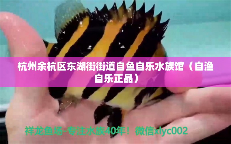 杭州余杭区东湖街街道自鱼自乐水族馆（自渔自乐正品） 全国水族馆企业名录