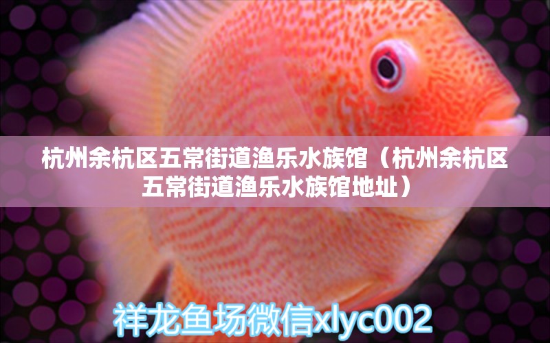 杭州余杭区五常街道渔乐水族馆（杭州余杭区五常街道渔乐水族馆地址）