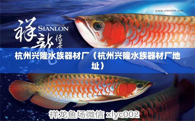 杭州兴隆水族器材厂（杭州兴隆水族器材厂地址） 全国水族馆企业名录