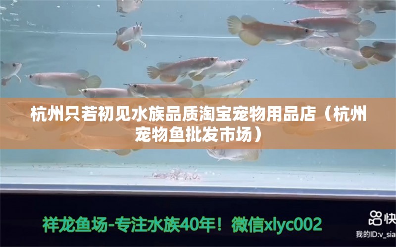 杭州只若初见水族品质淘宝宠物用品店（杭州宠物鱼批发市场）