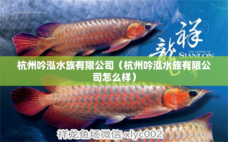 杭州吟泓水族有限公司（杭州吟泓水族有限公司怎么样）