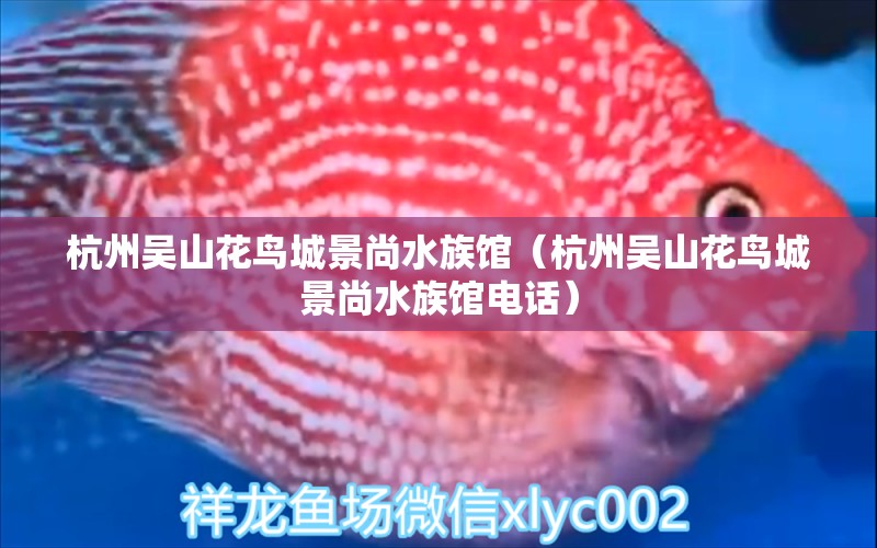 杭州吴山花鸟城景尚水族馆（杭州吴山花鸟城景尚水族馆电话）