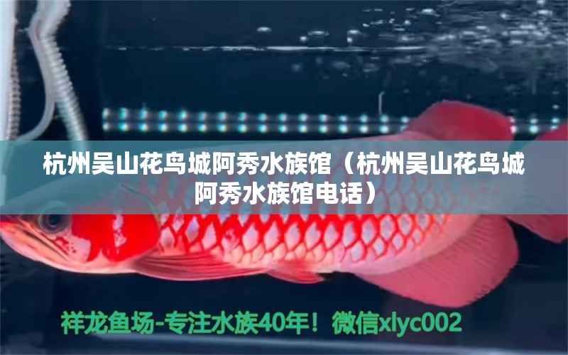 杭州吴山花鸟城阿秀水族馆（杭州吴山花鸟城阿秀水族馆电话） 全国水族馆企业名录