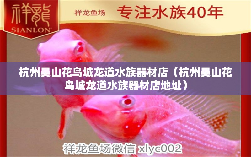 杭州吴山花鸟城龙道水族器材店（杭州吴山花鸟城龙道水族器材店地址）