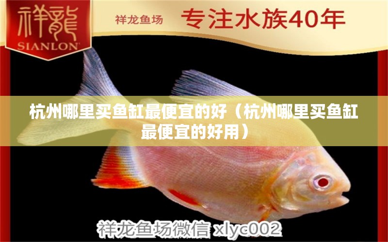 杭州哪里买鱼缸最便宜的好（杭州哪里买鱼缸最便宜的好用）