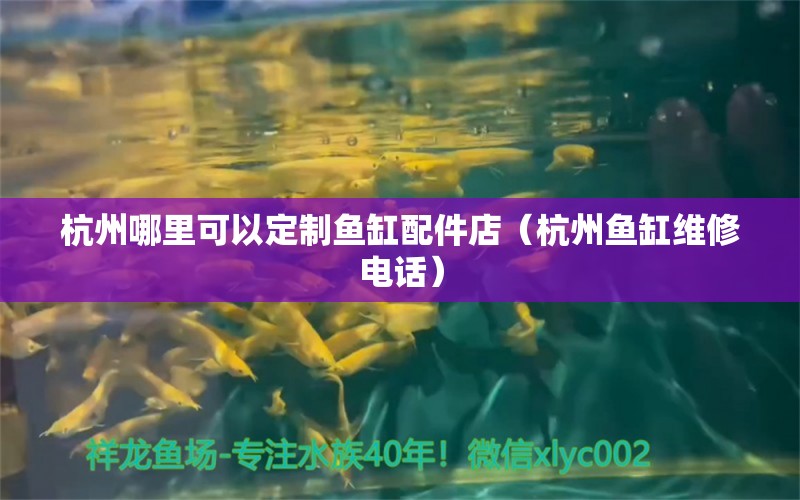 杭州哪里可以定制鱼缸配件店（杭州鱼缸维修电话） 广州观赏鱼批发市场