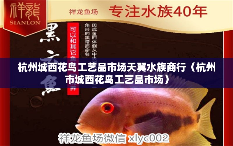 杭州城西花鸟工艺品市场天翼水族商行（杭州市城西花鸟工艺品市场）