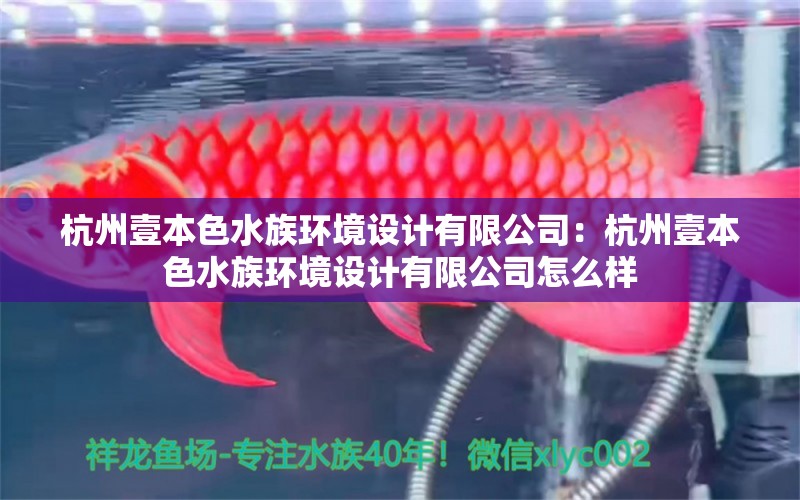 杭州壹本色水族环境设计有限公司：杭州壹本色水族环境设计有限公司怎么样