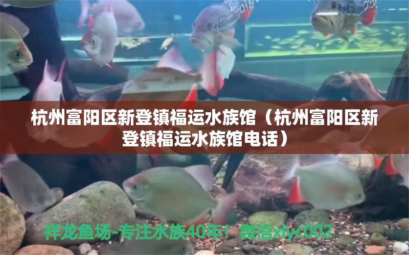 杭州富阳区新登镇福运水族馆（杭州富阳区新登镇福运水族馆电话） 全国水族馆企业名录