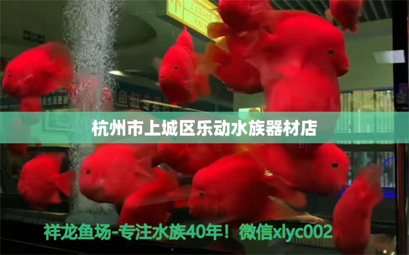 杭州市上城区乐动水族器材店 全国水族馆企业名录