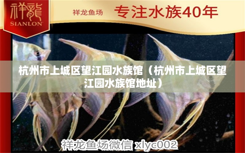 杭州市上城区望江园水族馆（杭州市上城区望江园水族馆地址） 全国水族馆企业名录