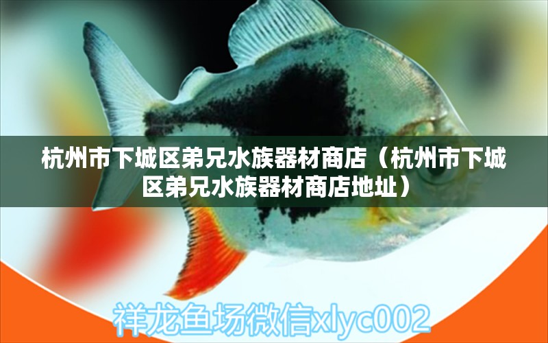 杭州市下城区弟兄水族器材商店（杭州市下城区弟兄水族器材商店地址）