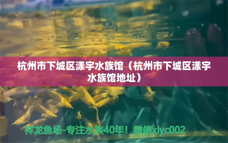 杭州市下城区漾宇水族馆（杭州市下城区漾宇水族馆地址）