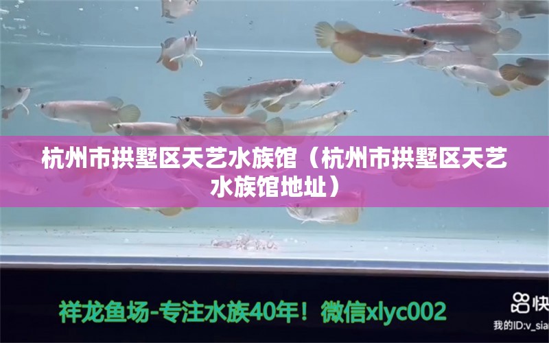 杭州市拱墅区天艺水族馆（杭州市拱墅区天艺水族馆地址） 全国水族馆企业名录