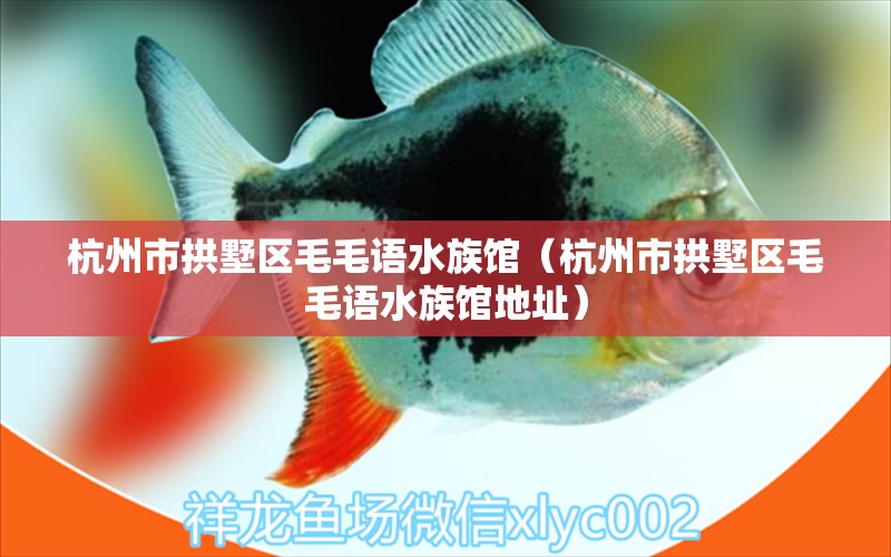 杭州市拱墅区毛毛语水族馆（杭州市拱墅区毛毛语水族馆地址）