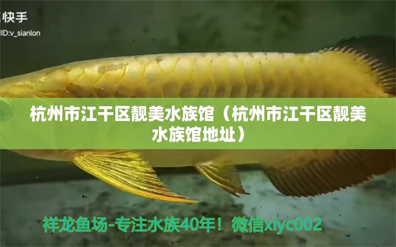 杭州市江干区靓美水族馆（杭州市江干区靓美水族馆地址） 全国水族馆企业名录