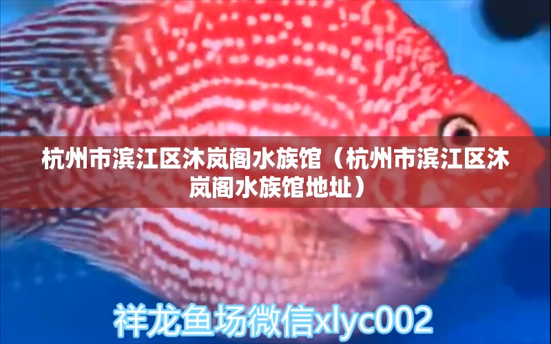 杭州市滨江区沐岚阁水族馆（杭州市滨江区沐岚阁水族馆地址） 全国水族馆企业名录