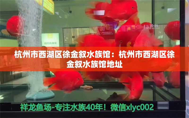 杭州市西湖区徐金叙水族馆：杭州市西湖区徐金叙水族馆地址