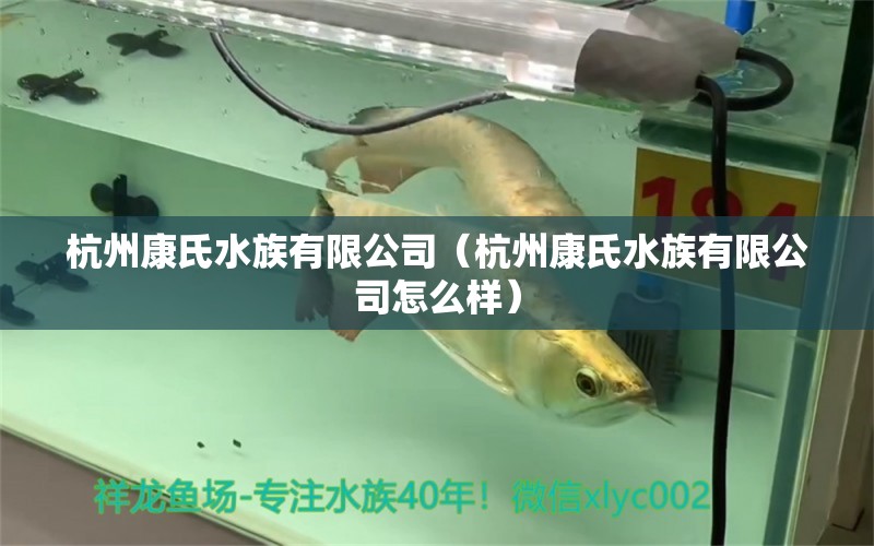 杭州康氏水族有限公司（杭州康氏水族有限公司怎么样）